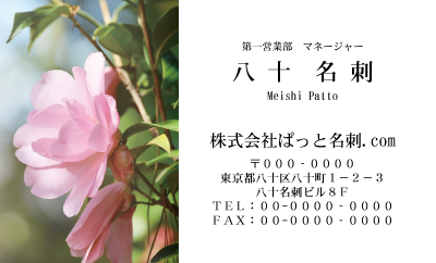 テンプレート名刺【plant-Camellia photo-d003-zdk】