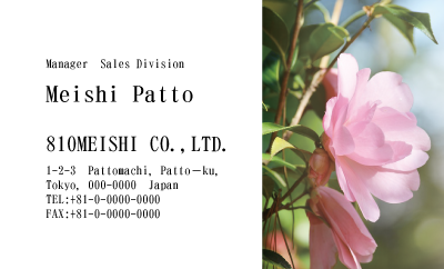 テンプレート名刺【plant-Camellia photo-d003-zdk】