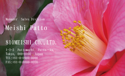 テンプレート名刺【plant-Camellia photo-d004-zdk】