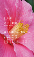 テンプレート名刺【plant-Camellia photo-d004-zdk】