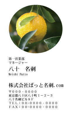 テンプレート名刺【Vegetable&Fruit-d027-zdk】