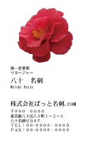 テンプレート名刺【plant-Camellia photo-d005-zdk】