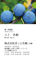 テンプレート名刺【Vegetable&Fruit-d029-zdk】