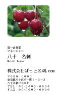 テンプレート名刺【Vegetable&Fruit-d031-zdk】