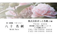テンプレート名刺【plant-Camellia photo-d007-zdk】