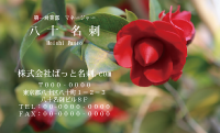 テンプレート名刺【plant-Camellia photo-d008-zdk】