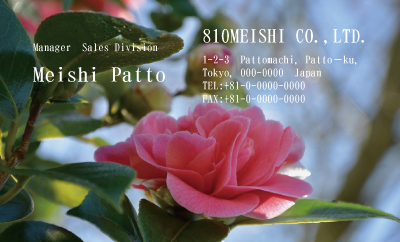テンプレート名刺【plant-Camellia photo-d009-zdk】