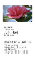 テンプレート名刺【plant-Camellia photo-d009-zdk】