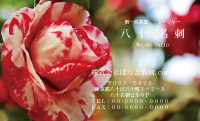 テンプレート名刺【plant-Camellia photo-d010-zdk】