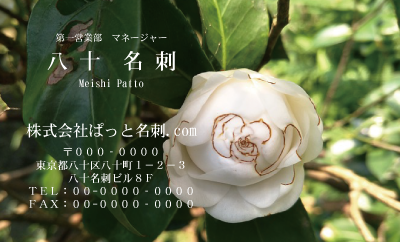 テンプレート名刺【plant-Camellia photo-d011-zdk】