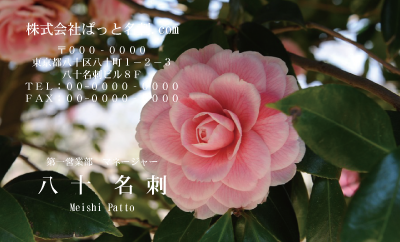 テンプレート名刺【plant-Camellia photo-d012-zdk】
