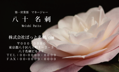テンプレート名刺【plant-Camellia photo-d013-zdk】