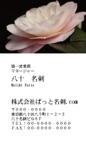 テンプレート名刺【plant-Camellia photo-d013-zdk】