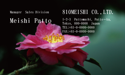 テンプレート名刺【plant-Camellia photo-d014-zdk】