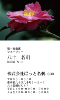 テンプレート名刺【plant-Camellia photo-d014-zdk】