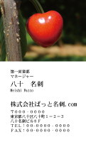 テンプレート名刺【Vegetable&Fruit-d036-zdk】