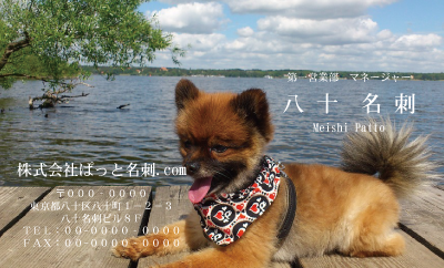 テンプレート名刺【dog photo-d047-zdk】