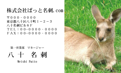 テンプレート名刺【animal photo-d001-zdk】
