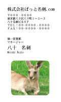 テンプレート名刺【animal photo-d001-zdk】
