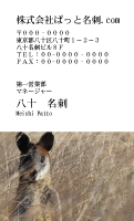 テンプレート名刺【animal photo-d002-zdk】