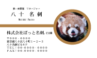 テンプレート名刺【animal photo-d005-zdk】