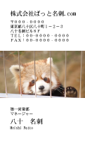 テンプレート名刺【animal photo-d006-zdk】