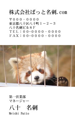 テンプレート名刺【animal photo-d006-zdk】