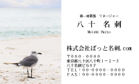 テンプレート名刺【animal photo-d011-zdk】