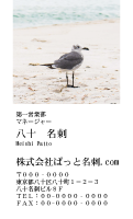 テンプレート名刺【animal photo-d011-zdk】
