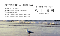 テンプレート名刺【animal photo-d012-zdk】