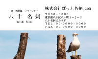 テンプレート名刺【animal photo-d013-zdk】