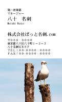 テンプレート名刺【animal photo-d013-zdk】