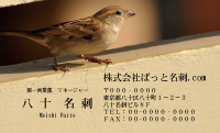 テンプレート名刺【animal photo-d016-zdk】