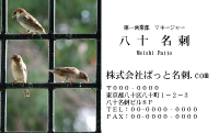 テンプレート名刺【animal photo-d018-zdk】