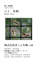 テンプレート名刺【animal photo-d018-zdk】