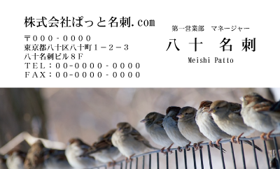 テンプレート名刺【animal photo-d019-zdk】