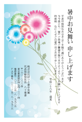 暑中見舞い(官製はがき)【Summer greeting card-d008-yzt-zy】