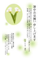 暑中見舞い(官製はがき)【Summer greeting card-d015-yzt-zy】