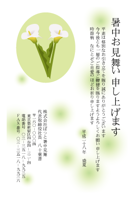暑中見舞い(官製はがき)【Summer greeting card-d015-yzt-zy】