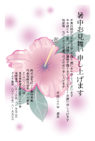 暑中見舞い(官製はがき)【Summer greeting card-d016-yzt-zy】