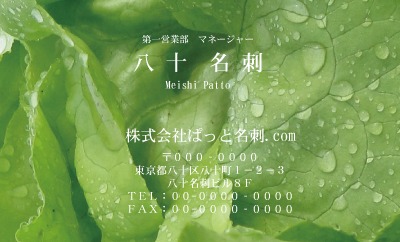 テンプレート名刺【Vegetable&Fruit-d052-zdk】