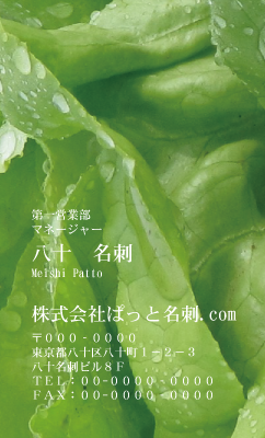 テンプレート名刺【Vegetable&Fruit-d052-zdk】