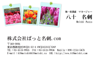 テンプレート名刺【plant-tulip photo-d019-lmzyz】