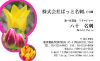 テンプレート名刺【plant-tulip photo-d018-lmzyz】