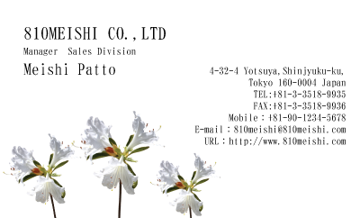 テンプレート名刺【plant-azaleas photo-d001-lm-zyz】
