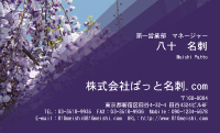 テンプレート名刺【plant-wistaria photo-d001-lmzyz】