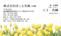 テンプレート名刺【plant-tulip photo-d020-lmzyz】