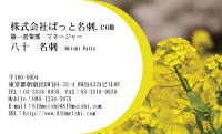 テンプレート名刺【plant-cole flower photo-d003-lmzyz】
