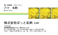 テンプレート名刺【plant-cole flower photo-d001-lmzyz】