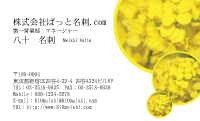 テンプレート名刺【plant-cole flower photo-d004-lmzyz】